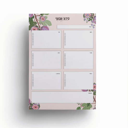 ✨ מוצר בהפתעה ✨