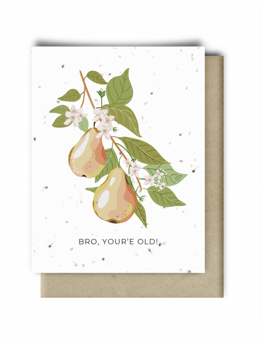 כרטיס ברכה נשתל - Bro Birthday