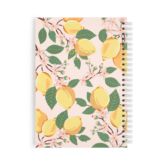 מחברת לימונים