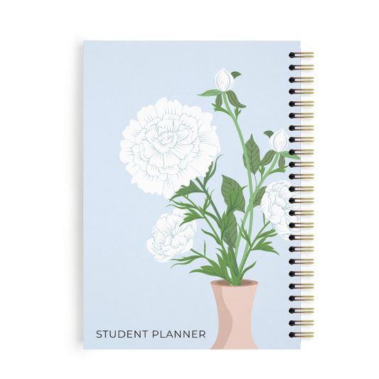 פלאנר סטודנט אדמונית